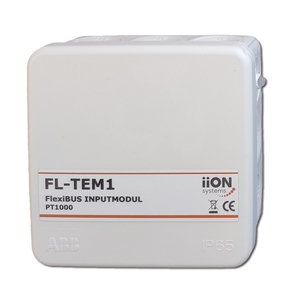 FL-TEM1
